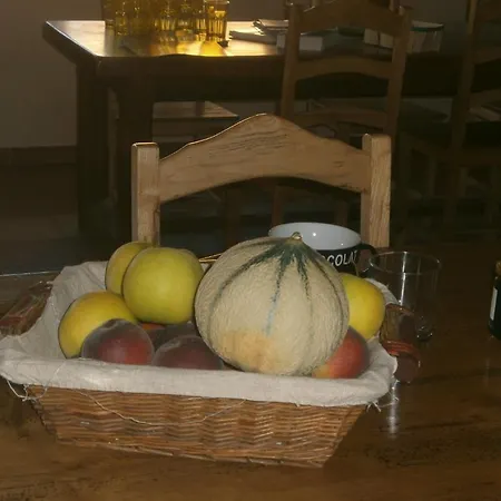 L'ecurie Des Bourricots Sury-le-Comtal