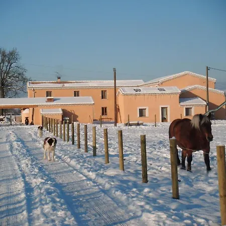 L'ecurie Des Bourricots * Sury-le-Comtal